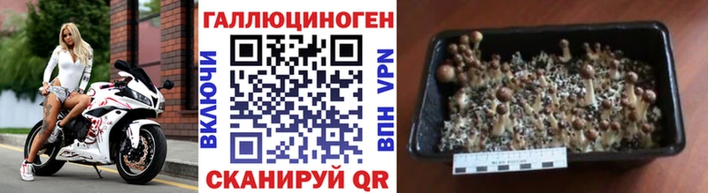 Галлюциногенные грибы мухоморы  Тихорецк 