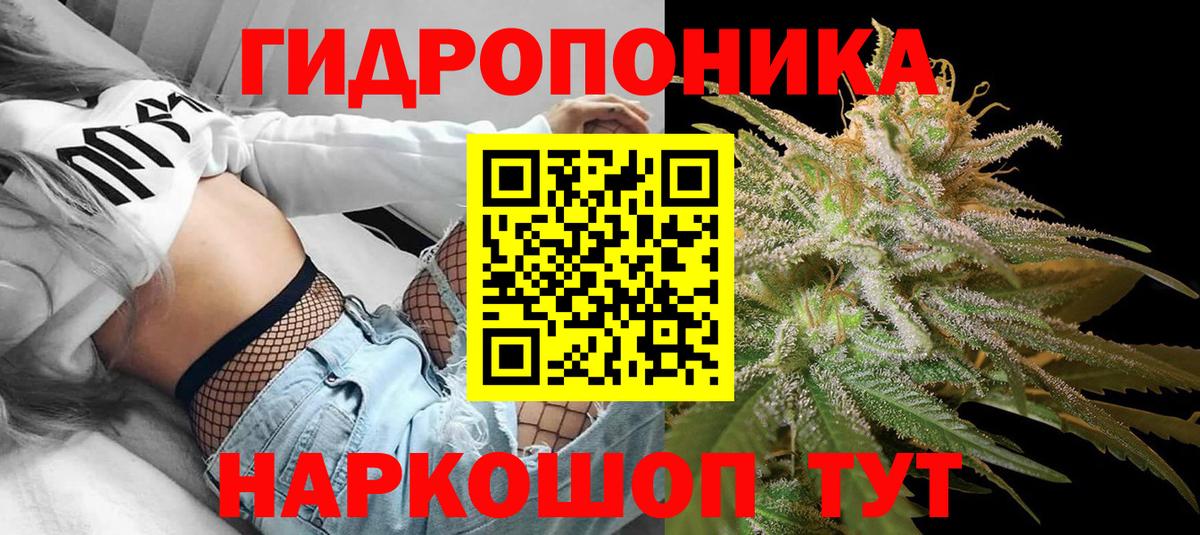 Псилоцибиновые грибы Тихорецк